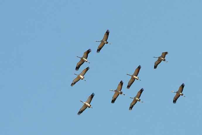 野鸭湖遭遇滑铁卢（陷车门）