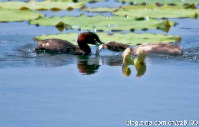 顺利交接（组图，4张图片）