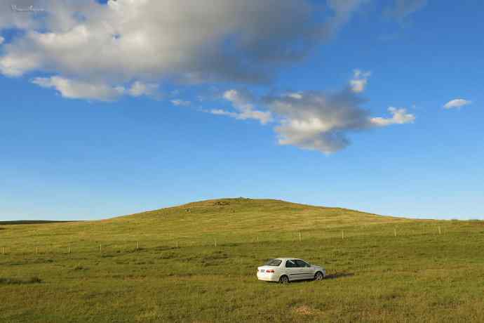 我和草原雕有个约定