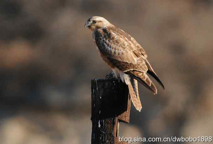 岁末再访白河峡谷 岁末再访白河峡谷