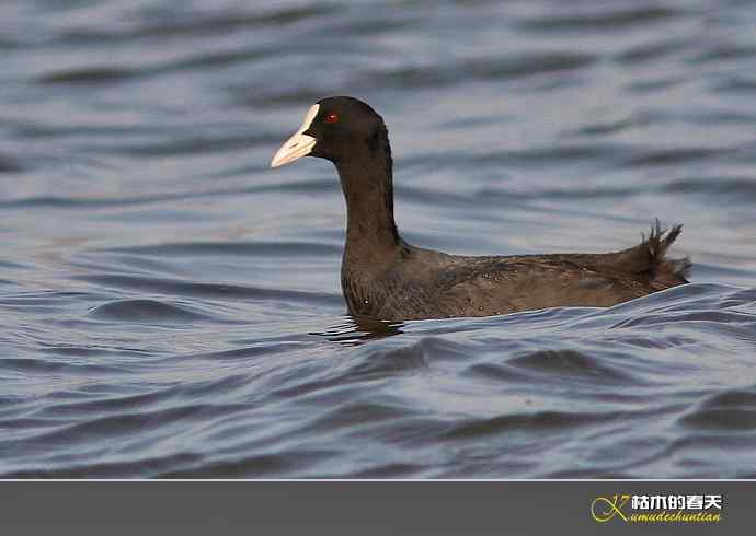 鈥湽嵌ゼ︹澨だ