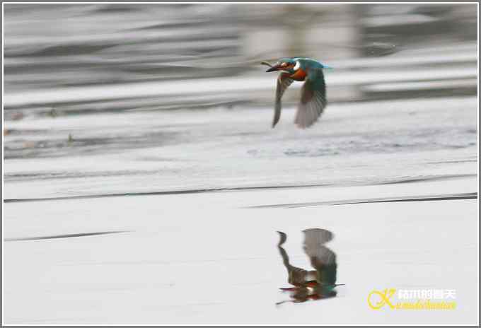 让鈥溞〈溻澐伞菊掌