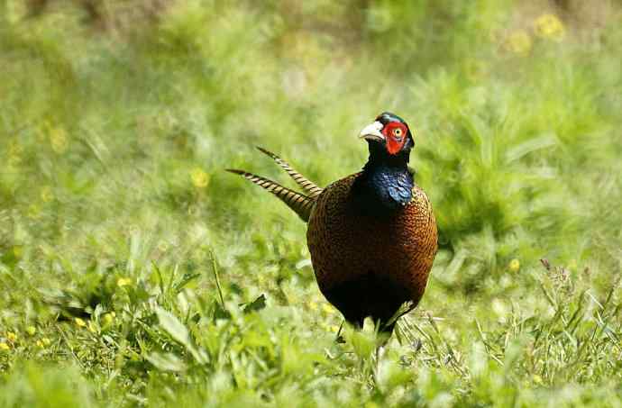 洋县朝圣鈥斺敾肪憋艏