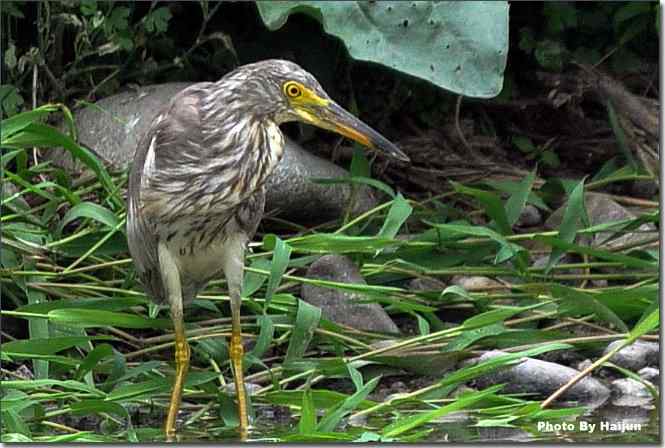  点击图片或使用键盘← →翻页