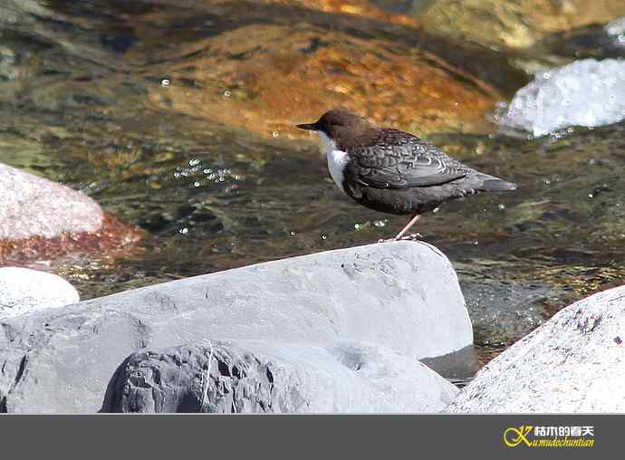 孟屯河拍鈥満游阝潯臼蹬摹