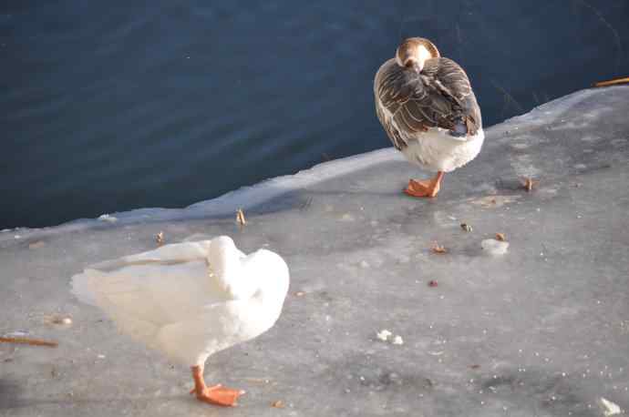 春天真的快来啦！