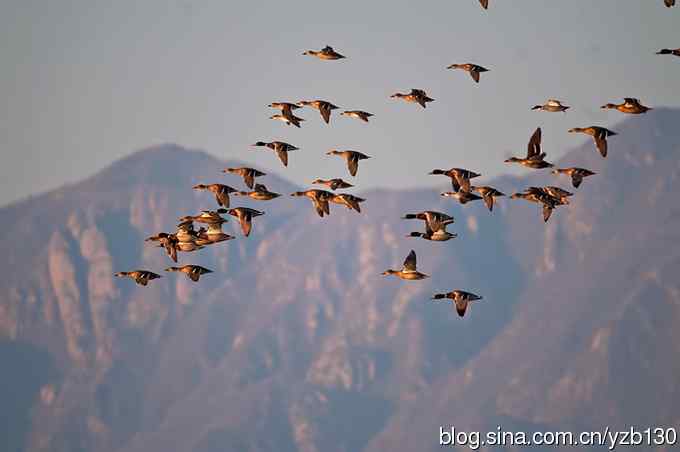 今日野鸭湖鈥斺敶筇於欤ㄗ橥迹20张图片）