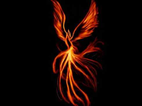 凤凰：传说的鸟