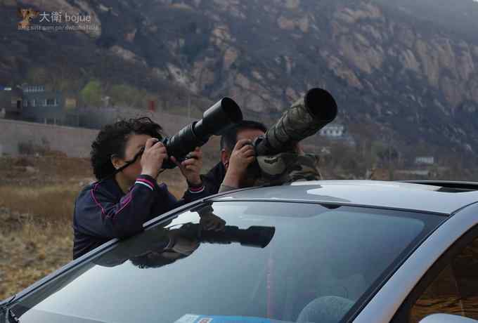 假日与家人一起愉快观鸟 假日与家人一起愉快观鸟