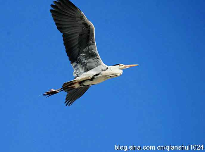 白河湾一走(白河峡谷)