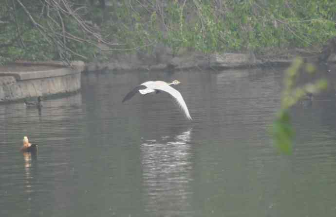 20100505当日总结