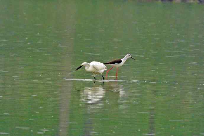 和谐 wbr wbr记录版 wbr wbr（1）