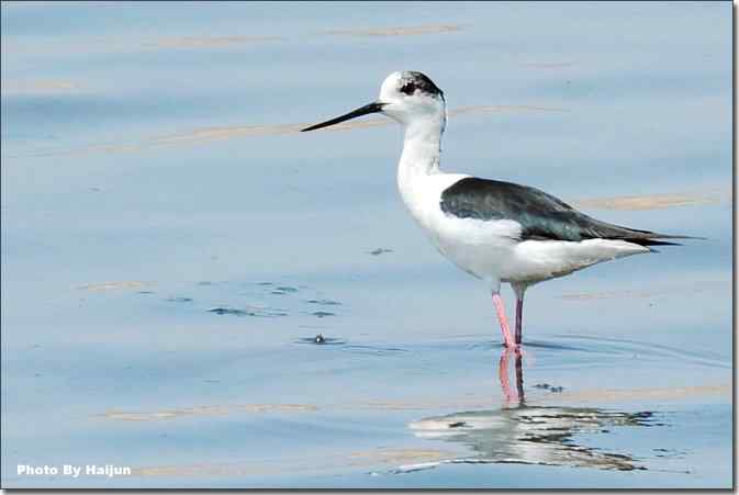  点击图片或使用键盘← →翻页