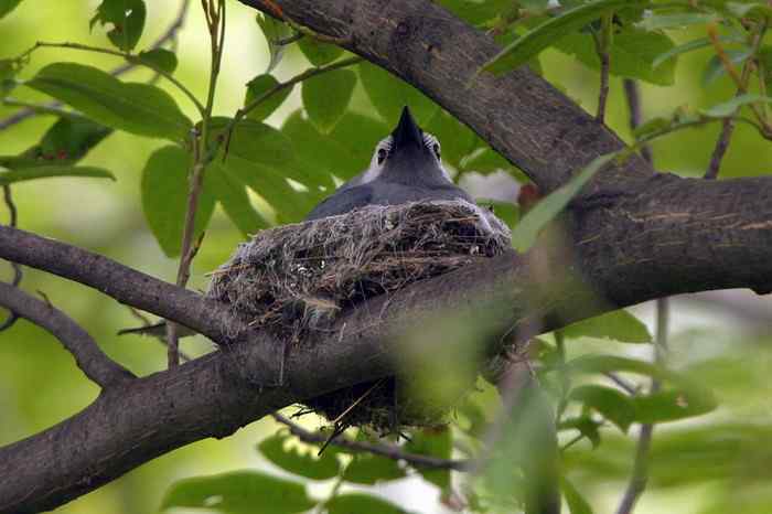 杭州老郑摄影续