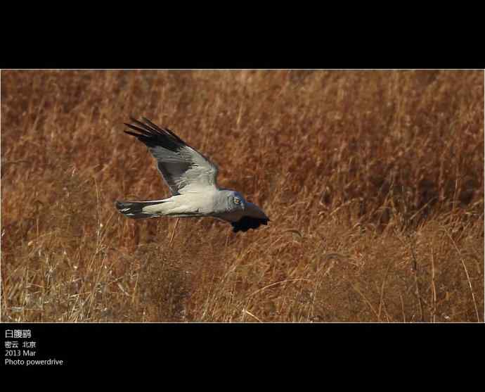 【人间四月天】