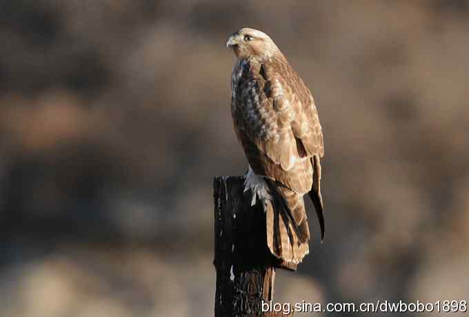 岁末再访白河峡谷 岁末再访白河峡谷