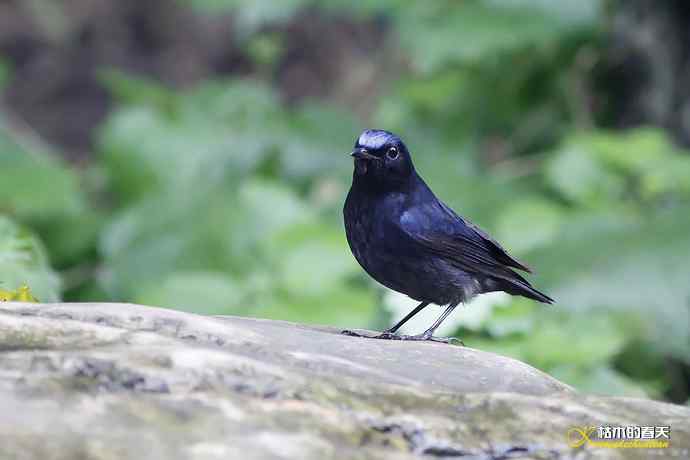 记录鈥湴孜怖兜仞垛