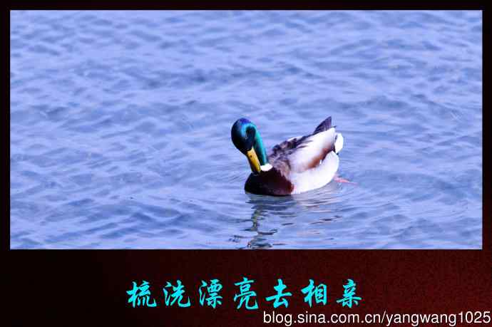 梳洗漂亮去相亲