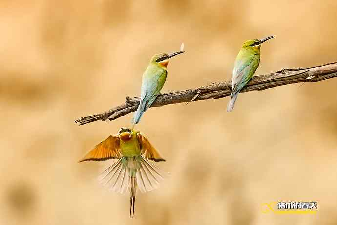 失而复得的鈥溊鹾矸浠⑩