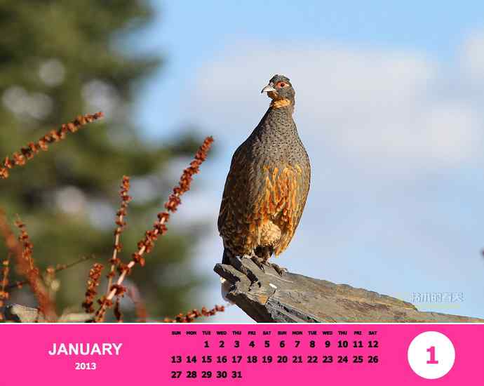 乘风追梦鈥斺斘业2012（附图）