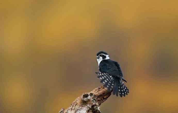 初冬婺源一日印象