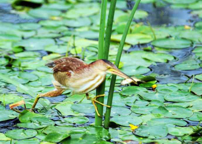辛勤的收获 辛勤的收获