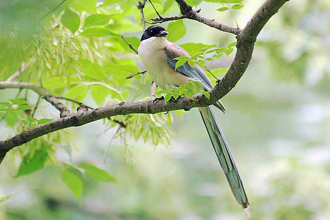  点击图片或使用键盘← →翻页