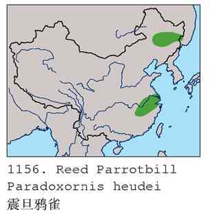 我的处女震旦(组图,8张图片) 我的处女震旦(组图,8张图片)