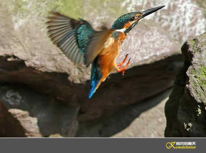 鈥溋宋泡衡澟拟溞〈溻潯臼蹬摹