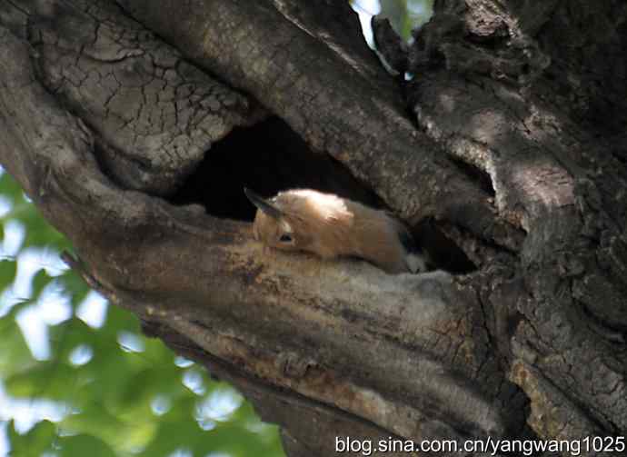 期盼（20分钟纪实片）