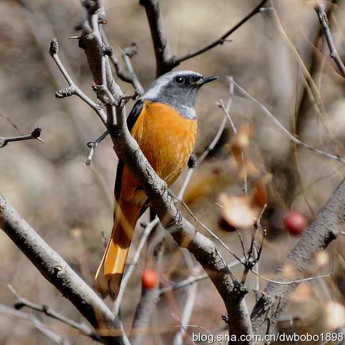 秋到白河湾 秋到白河湾