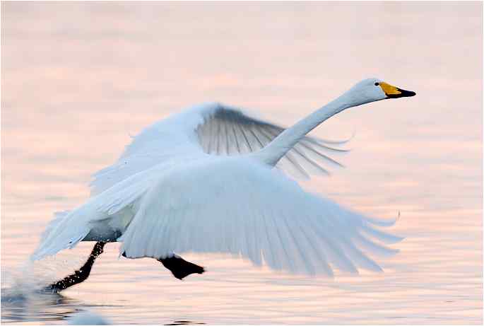 点击图片或使用键盘← →翻页