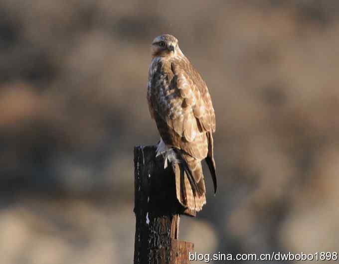 岁末再访白河峡谷 岁末再访白河峡谷