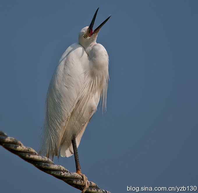白衣天使高空独立作业（组图，6张图片）