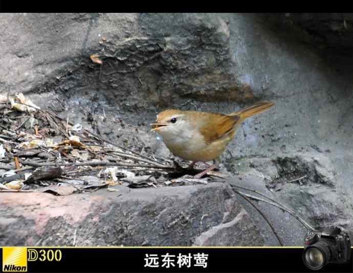 神奇的小池塘 神奇的小池塘