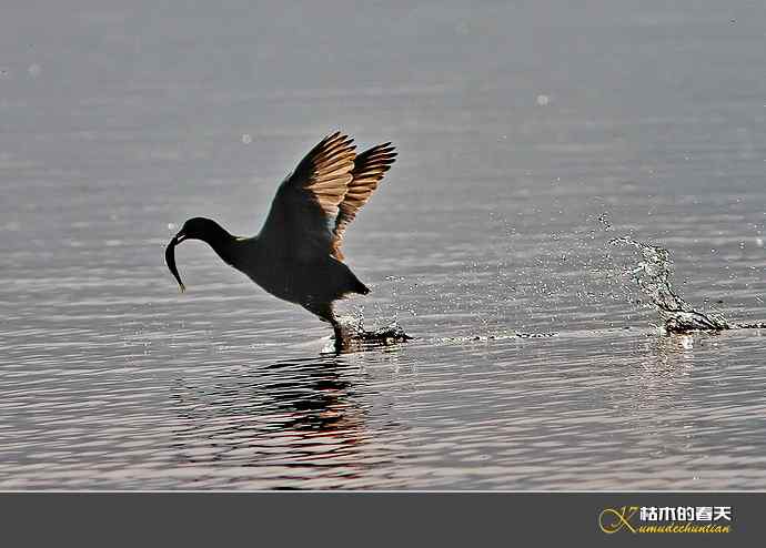 鈥湽嵌ゼ︹澨だ