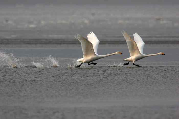 杭州老郑摄影续