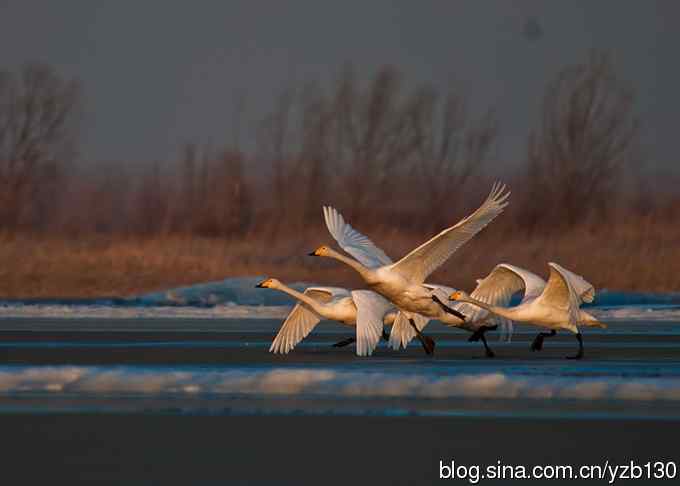 今日野鸭湖鈥斺敶筇於欤ㄗ橥迹20张图片）