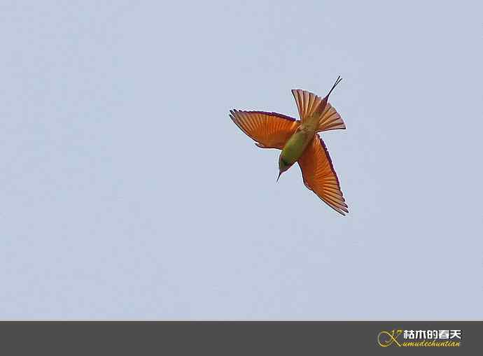 断线的鈥湻珞葩濃敿锹尖溌毯矸浠⑩