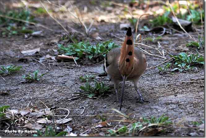  点击图片或使用键盘← →翻页