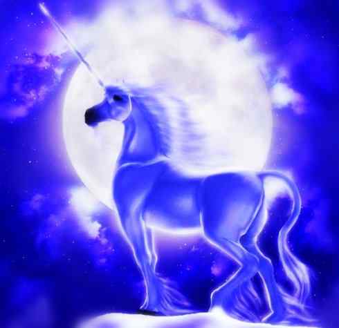 独角兽：传说的兽