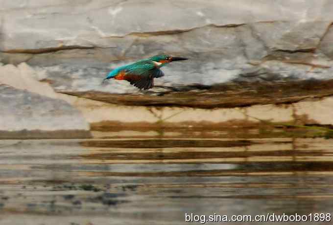 小翠儿过节踩蛋忙