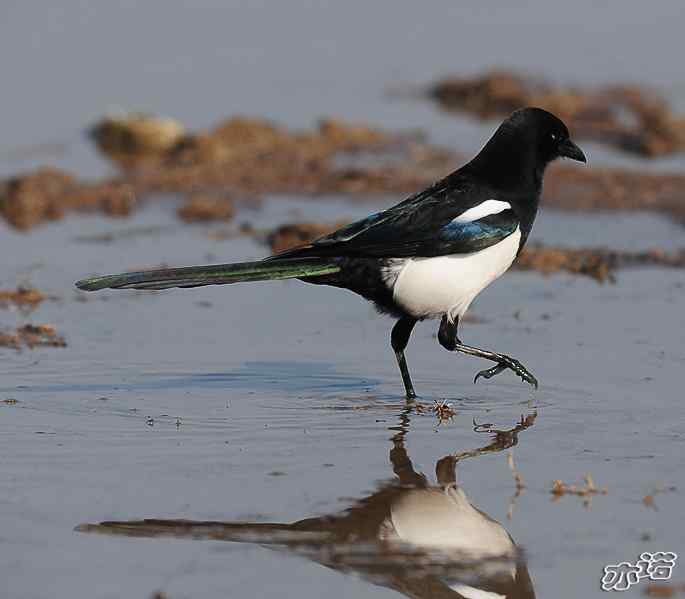 官厅水库&nbsp;wbr路&nbsp;wbr鈥湹刂麾澫踩