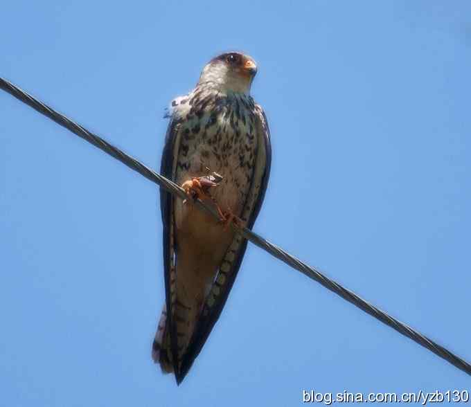 白河峡谷一日游（组图，11张图片）