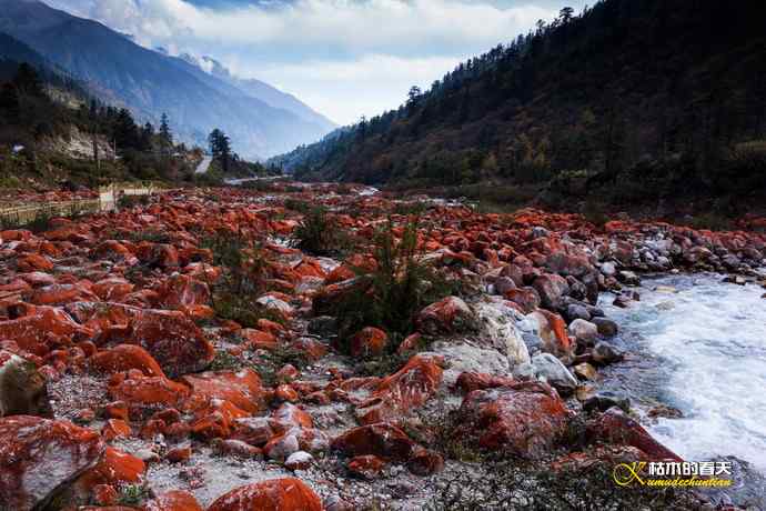 神奇的“红石滩”