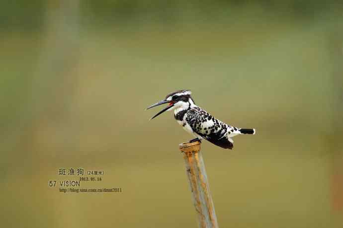 呼朋唤友鈥斺敯哂婀