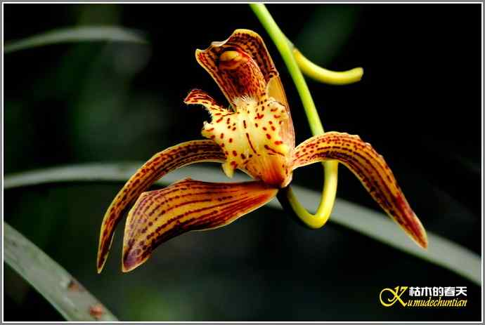 今天不拍鸟【照片】 今天不拍鸟【照片】