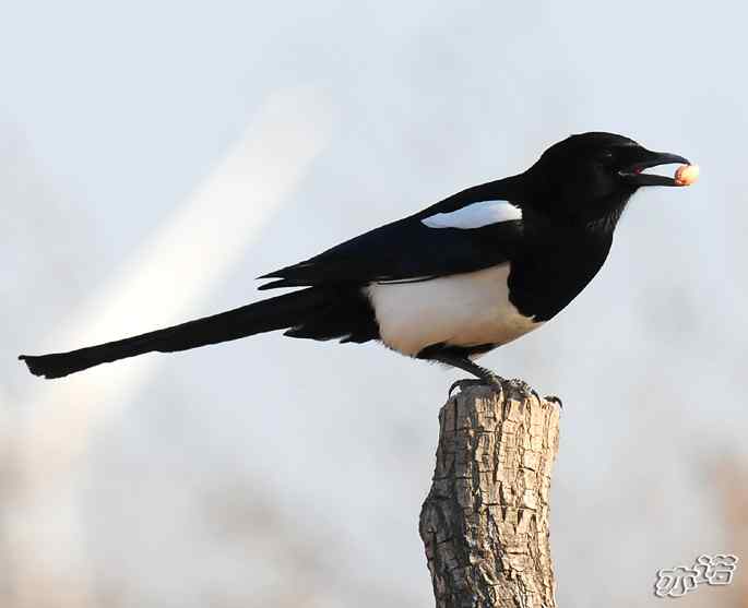 官厅水库&nbsp;wbr路&nbsp;wbr鈥湹刂麾澫踩