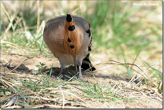  点击图片或使用键盘← →翻页