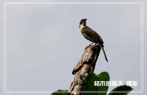 我与鈥湴淄佛恰綛ei】鈥